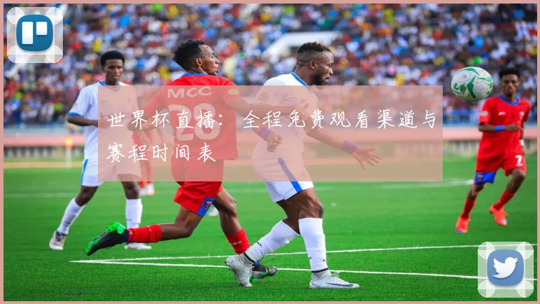 世界杯直播：全程免费观看渠道与赛程时间表